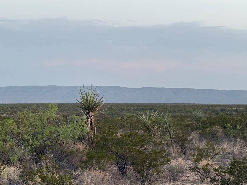 Other, TX 78851,0000 Valley View