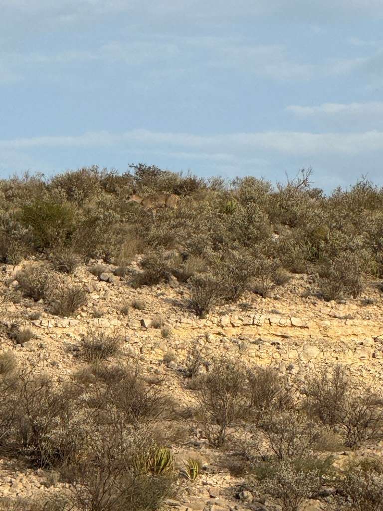Other, TX 78851,0000 Valley View