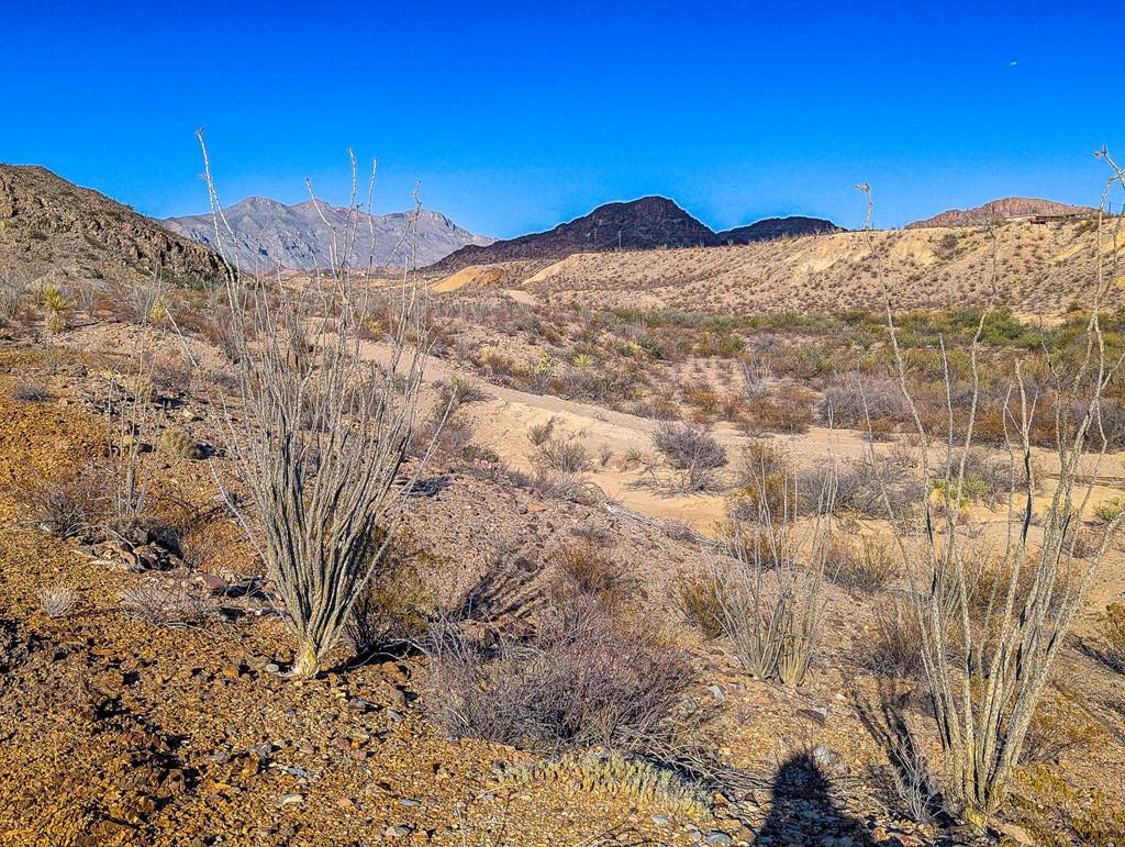 Terlingua, TX 79852,33497 Ocotillo Ave