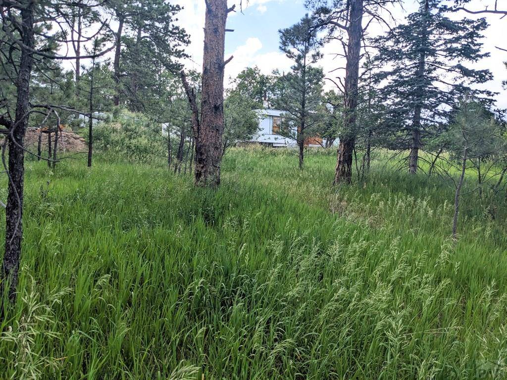 Rye, CO 81069,TBD Mary Dr