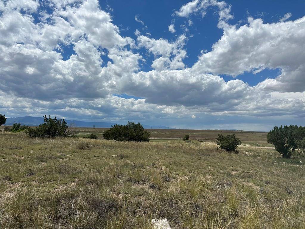 Pueblo West, CO 81007,510 Tejon Ave