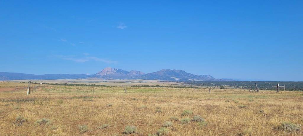 La Veta, CO 81055,TBD County Rd 351