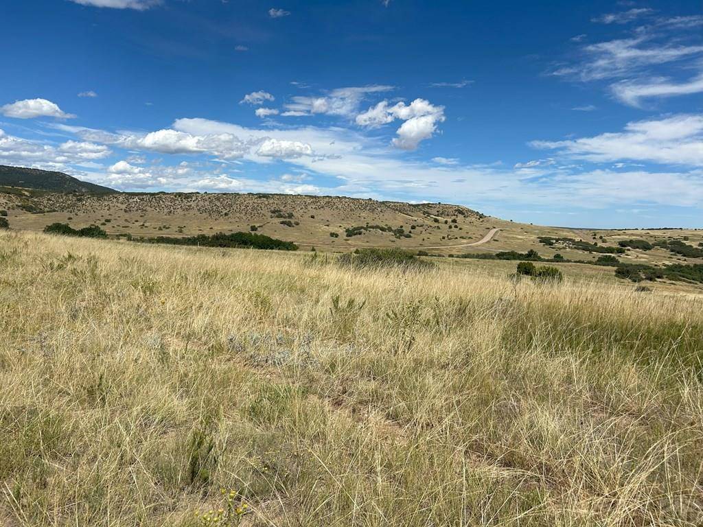 Colorado City, CO 81019,Lot 106 Pinto Dr