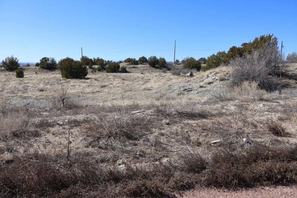 Pueblo West, CO 81007,254 Amache Ln