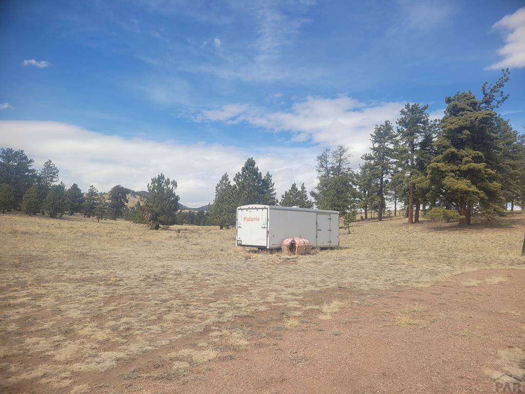 Guffey, CO 80820,2450 Antelope Lane