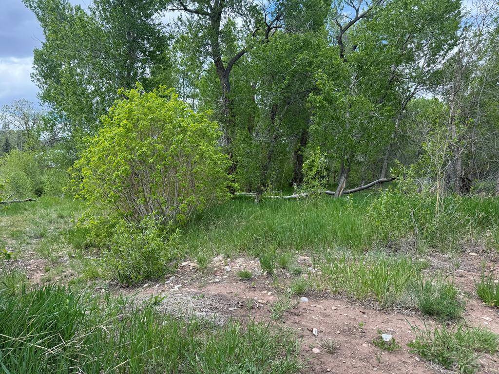 La Veta, CO 81055,Lot42/43 Garland St