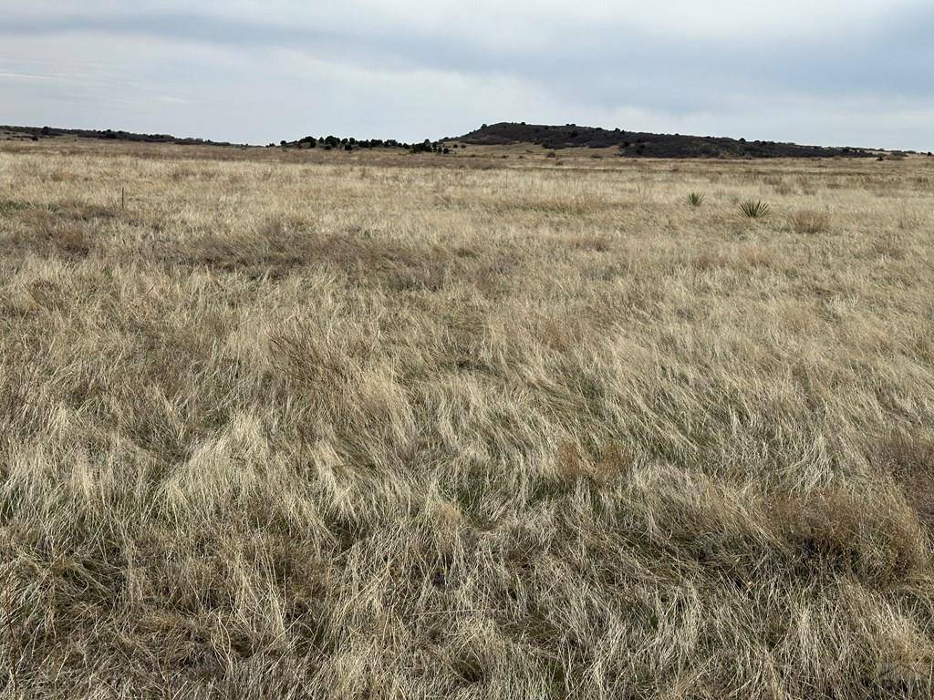 Colorado City, CO 81019,000 Neet Circle