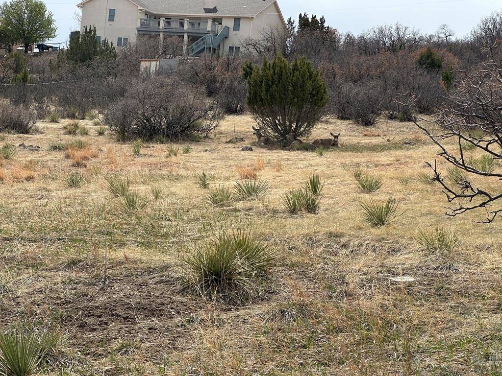Colorado City, CO 81019,00 Spotted Tail Rd