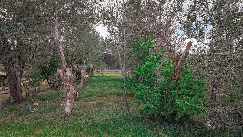 La Veta, CO 81055,300 Virginia St.