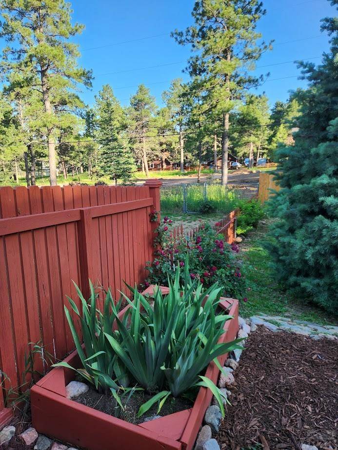 Rye, CO 81069,8172 Birch Dr