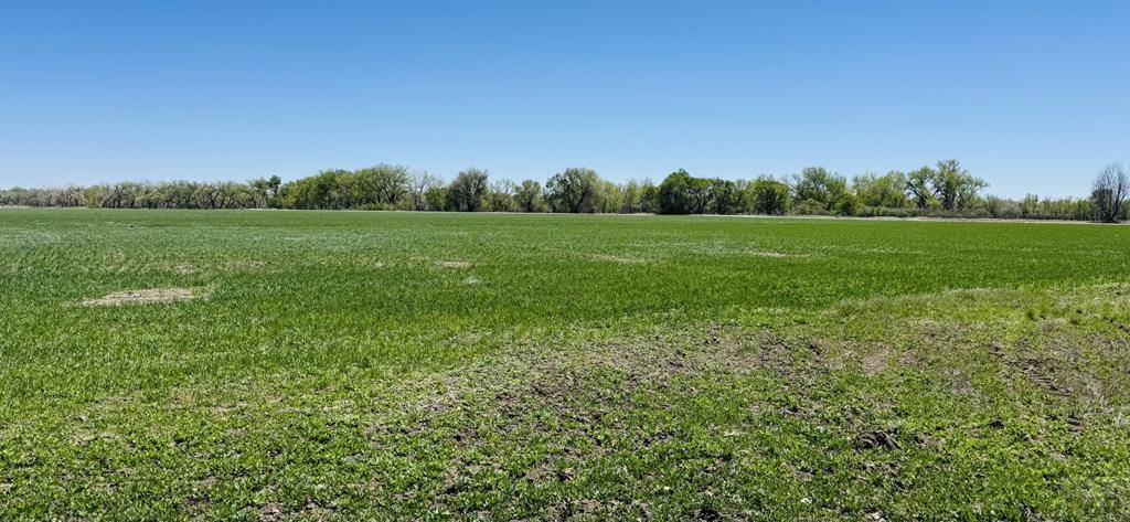 Pueblo, CO 81006,TBD Daniel Rd