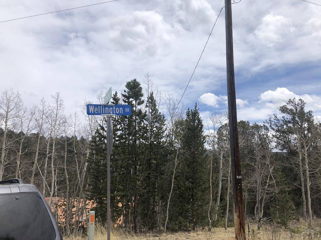 Cripple Creek, CO 80813,864 Wellington Dr
