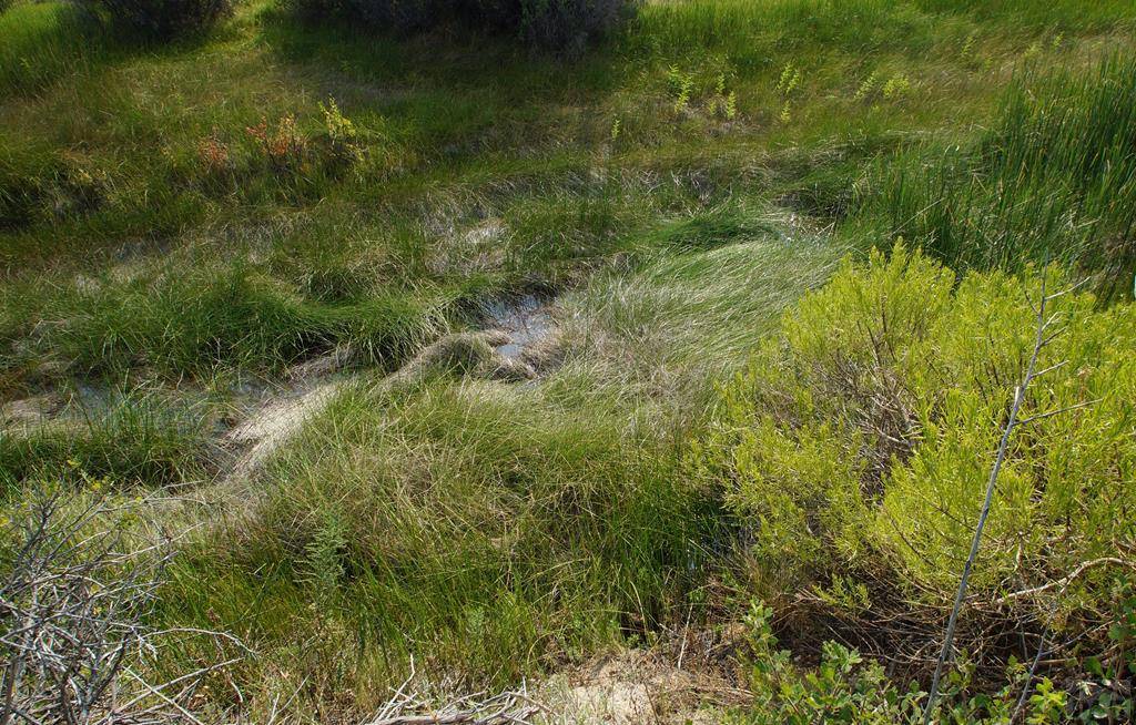 Penrose, CO 81240,358 13th St