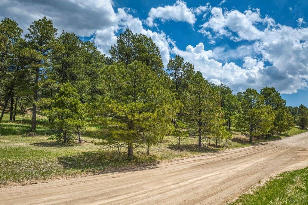 Colorado Springs, CO 80908,8770 Moss Rock Rd