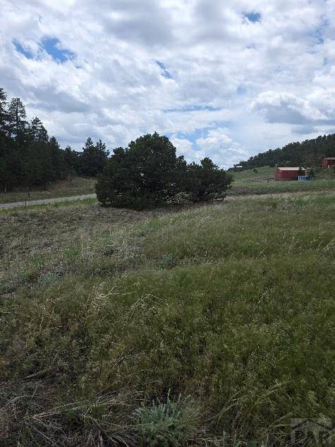 Cotopaxi, CO 81223,8099 County Rd 28