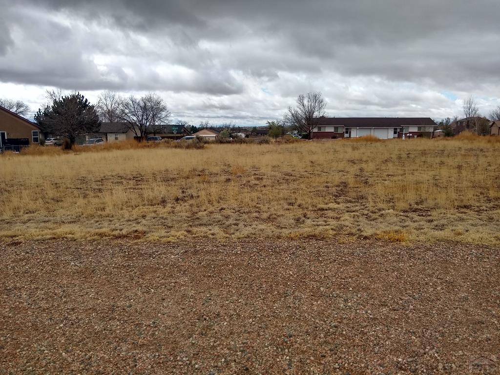 Pueblo West, CO 81007,784 Honeydew Dr