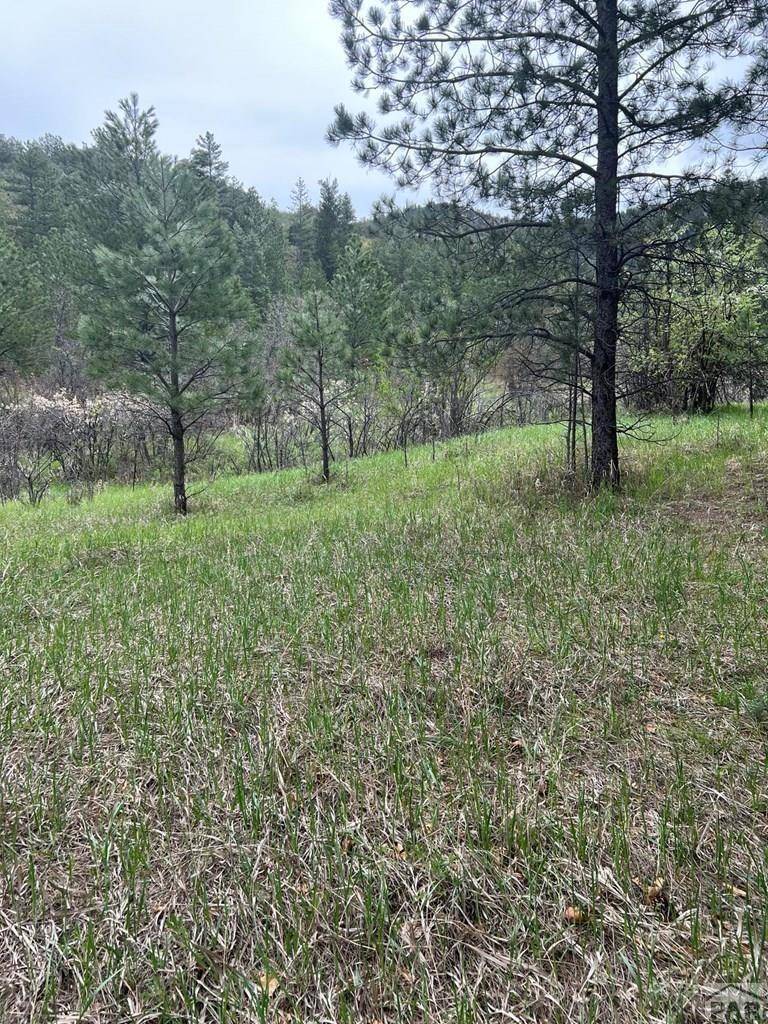 Beulah, CO 81023,8840 Pine Dr
