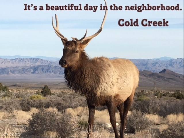 Cold Creek, NV 89124,15 TIMBERLINE Drive