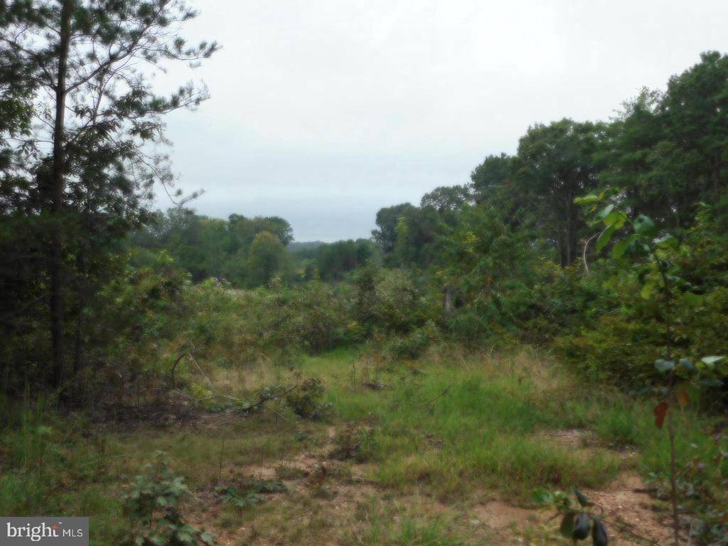 Rhoadesville, VA 22542,LOT 8K BELLEWOOD ACRES LN