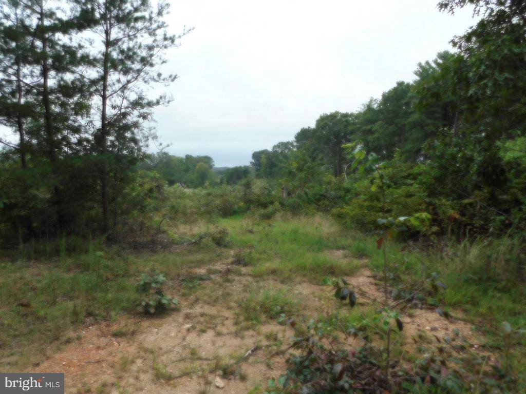 Rhoadesville, VA 22542,LOT 8K BELLEWOOD ACRES LN