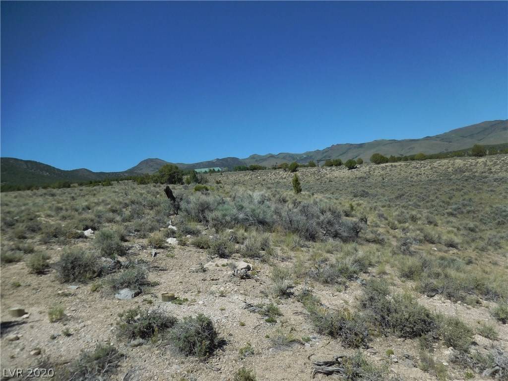 Mcgill, NV 89318,East Creek - 5 ac Parcel