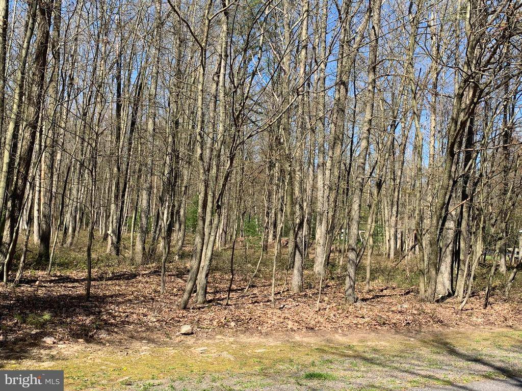 Lehighton, PA 18235,0 LOT# A19 TATRA DR