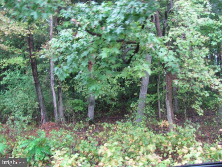 West Deptford Twp, NJ 08096,LOT 1 SAINT REGIS DR