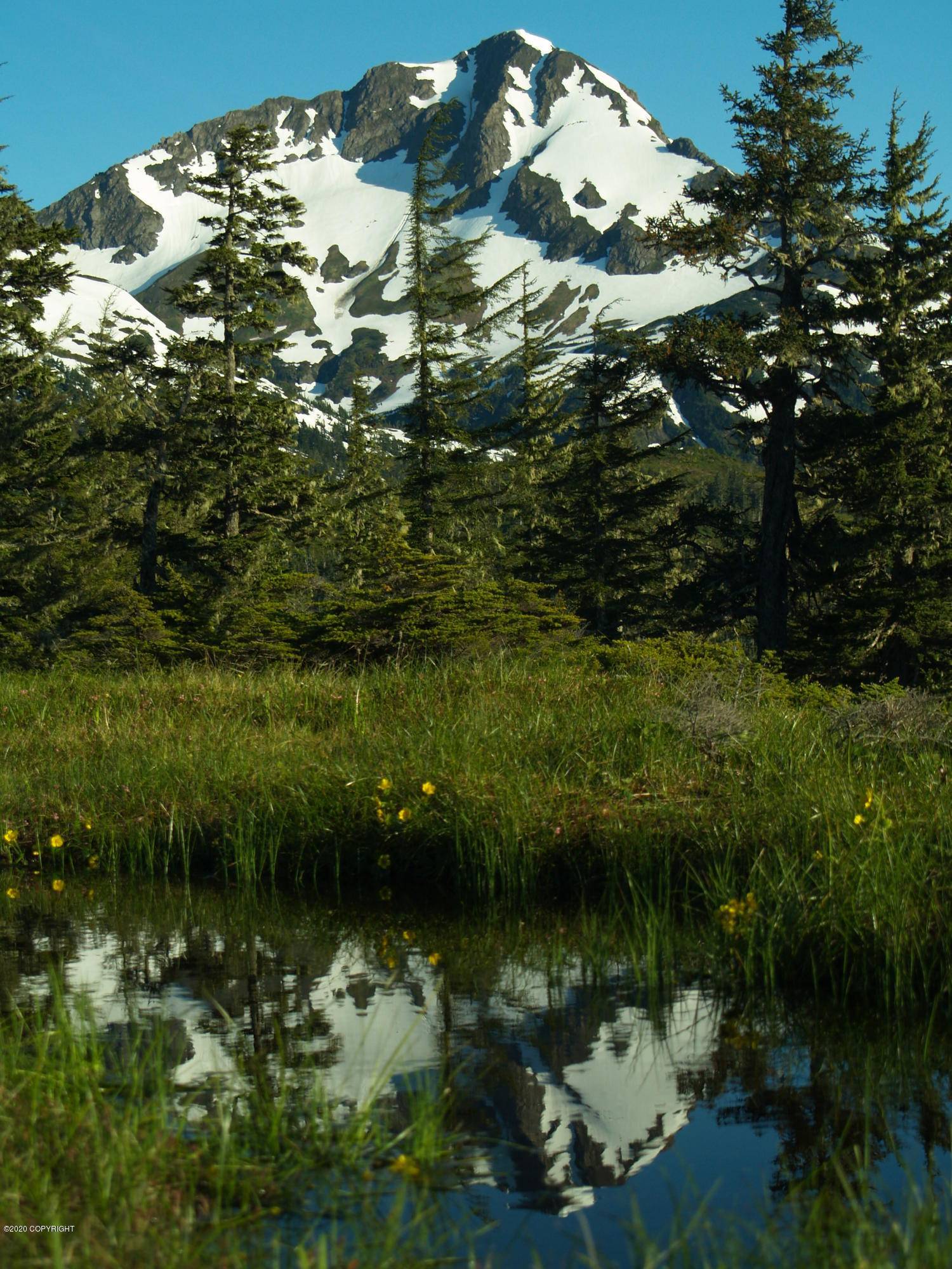 Cordova, AK 99574,109 Cabin Ridge Road