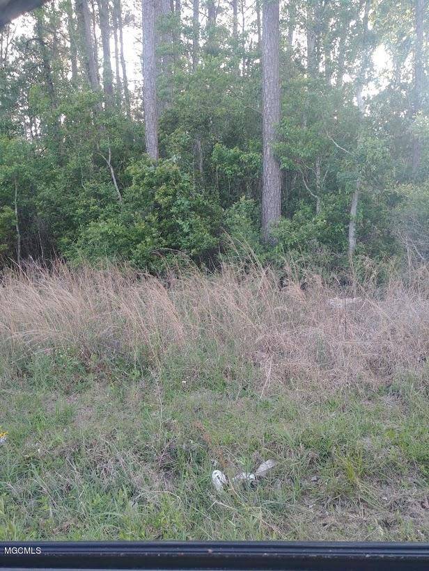 Waveland, MS 39576,00 Lakeshore/Hancock