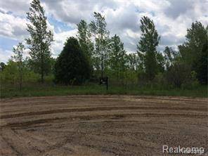 Almont Twp, MI 48003,0 LINDEN