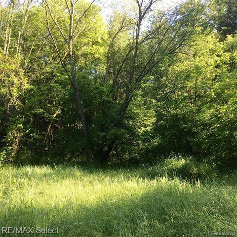 Deerfield Twp, MI 48430,0000 COHOCTAH RD