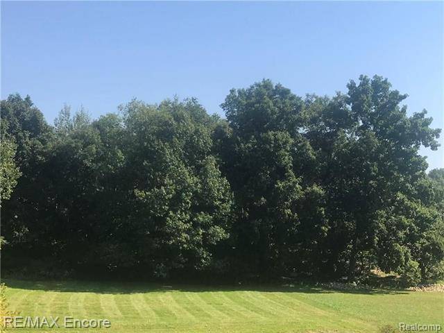 Independence Twp, MI 48348,LOT 31 STONEWALL EAST