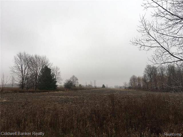 Almont Twp, MI 48003,0000 TALBOT DR