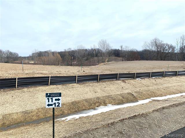 Genoa Twp, MI 48843,000 Chestnut Springs Dr Lot# 11