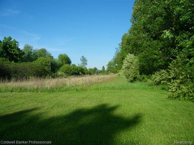 North Branch Twp, MI 48461,Parcel A MARTUS RD