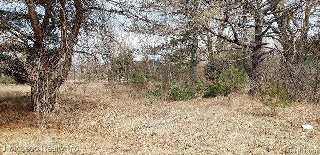 Vassar Twp, MI 48746,Vacant Land SWAFFER & IRISH RD