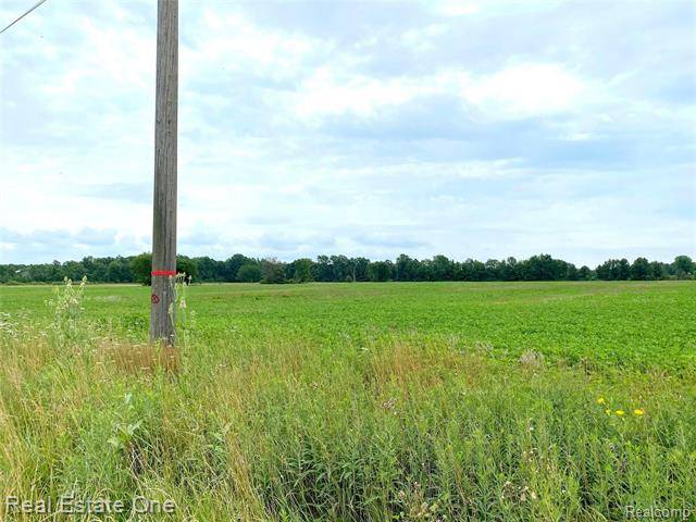 Ira Twp, MI 48023,00 ARNOLD RD