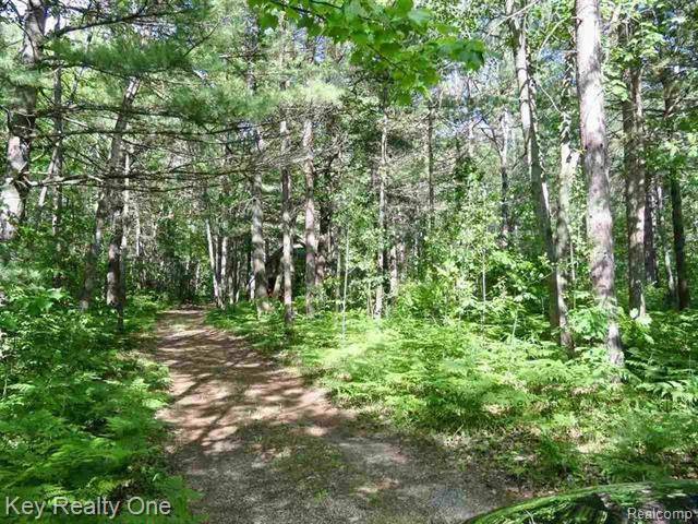 Hayes Twp, MI 49735,072-240-000-052-0 Wanuka Trail