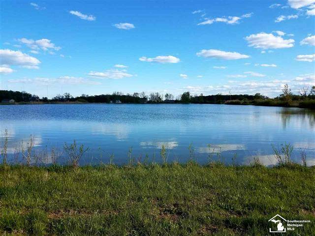 Ash Twp, MI 48117,10925 PLEASANT POND