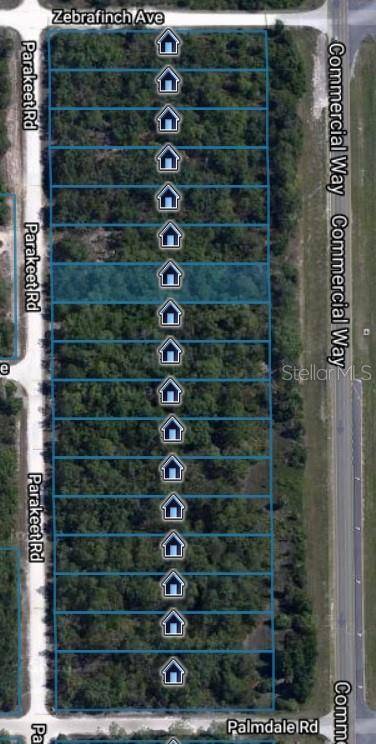 Weeki Wachee, FL 34614,18364 PARAKEET ROAD