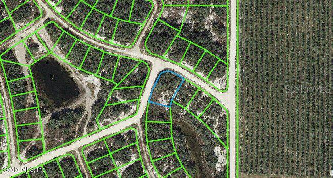 Lake Placid, FL 33852,131 Danby DRIVE