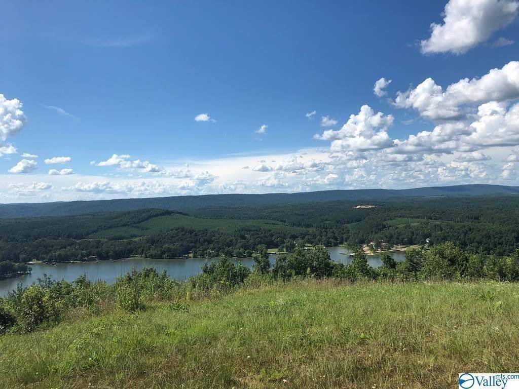 Other-alabama, AL 35959,Lot46 County Road