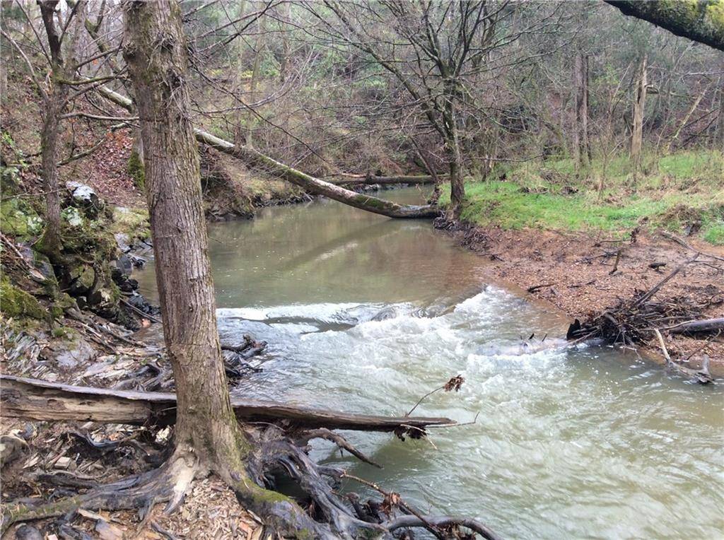 Rydal, GA 30171,77 Nally RD