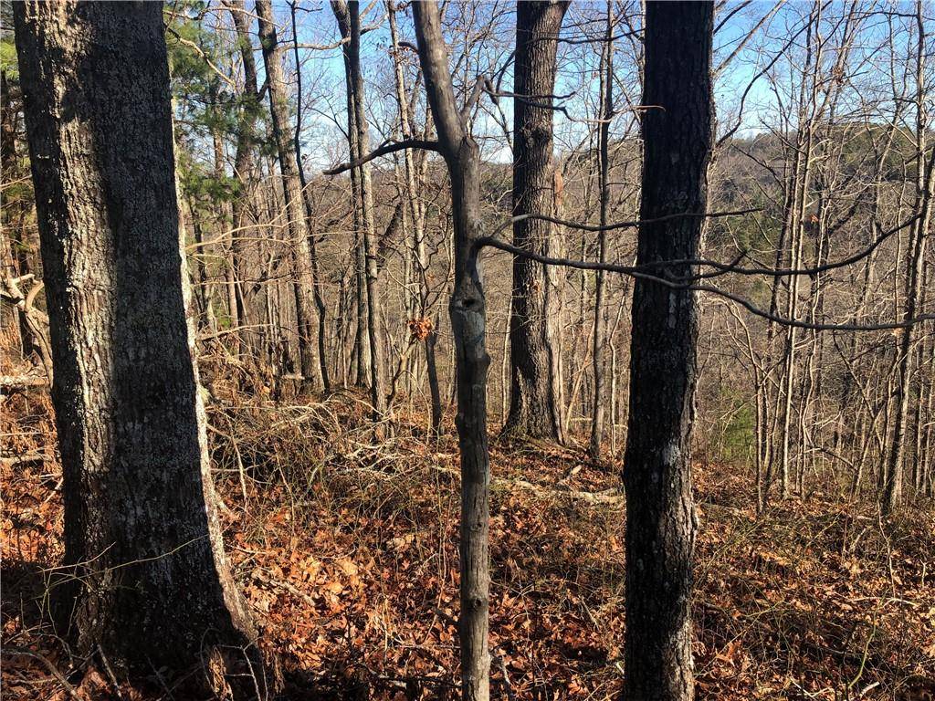 Ranger, GA 30734,1601 Dover CIR