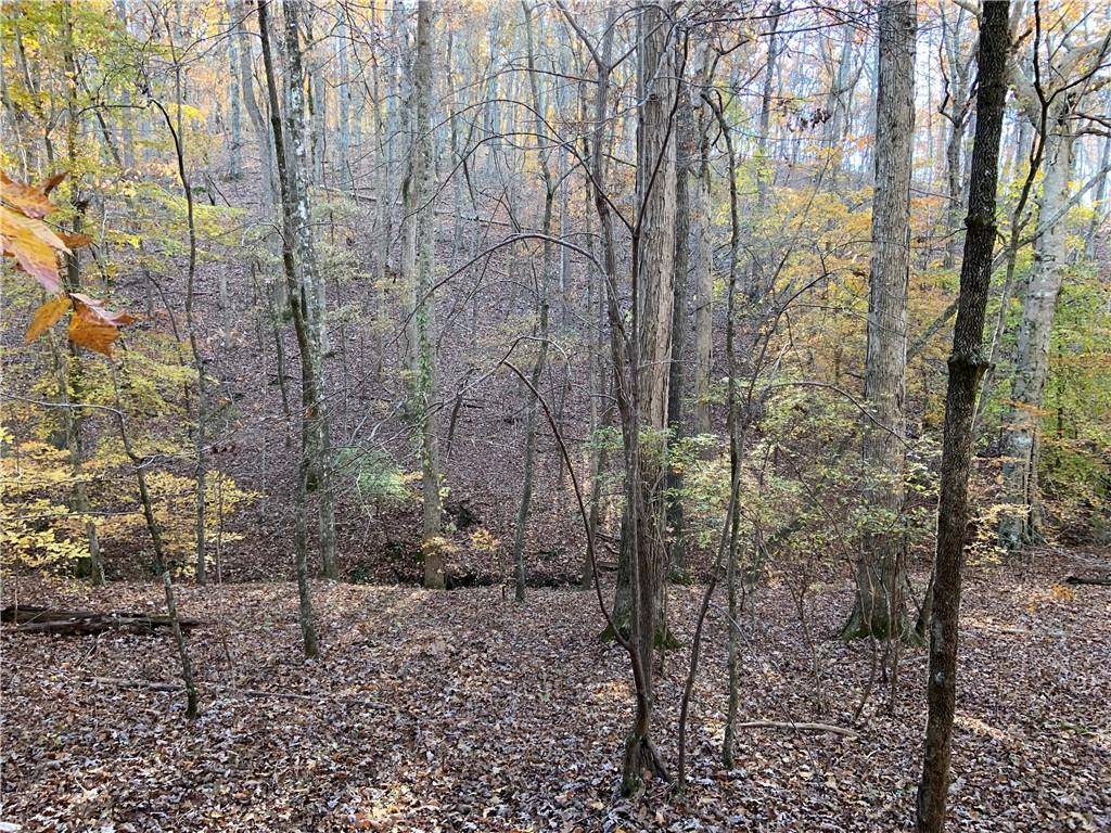 Braswell, GA 30153,00 Brushy Mountain RD