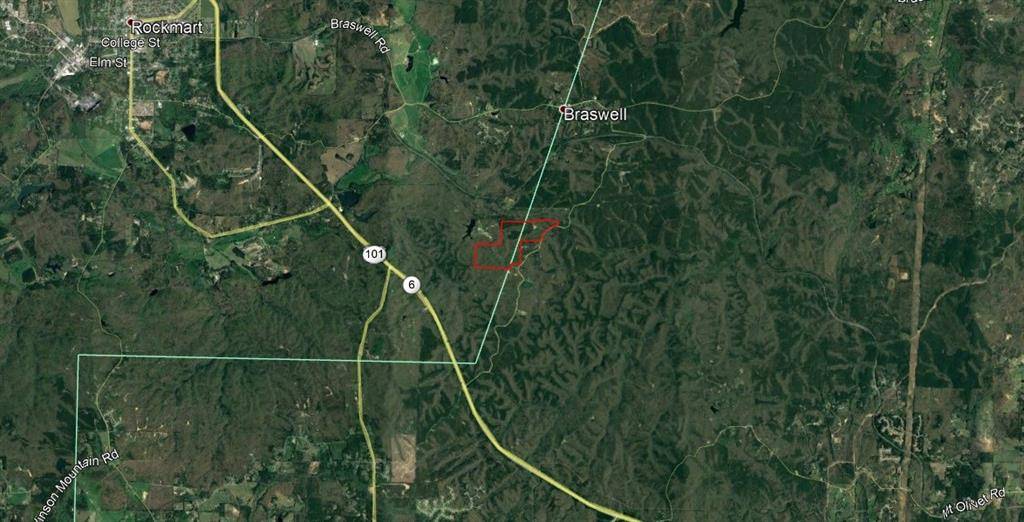 Braswell, GA 30153,00 Brushy Mountain RD