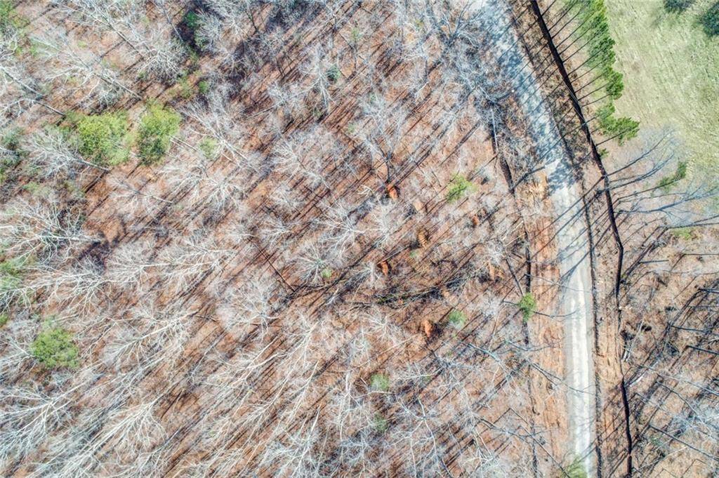 Ellijay, GA 30540,0000 Ridgeway Church RD