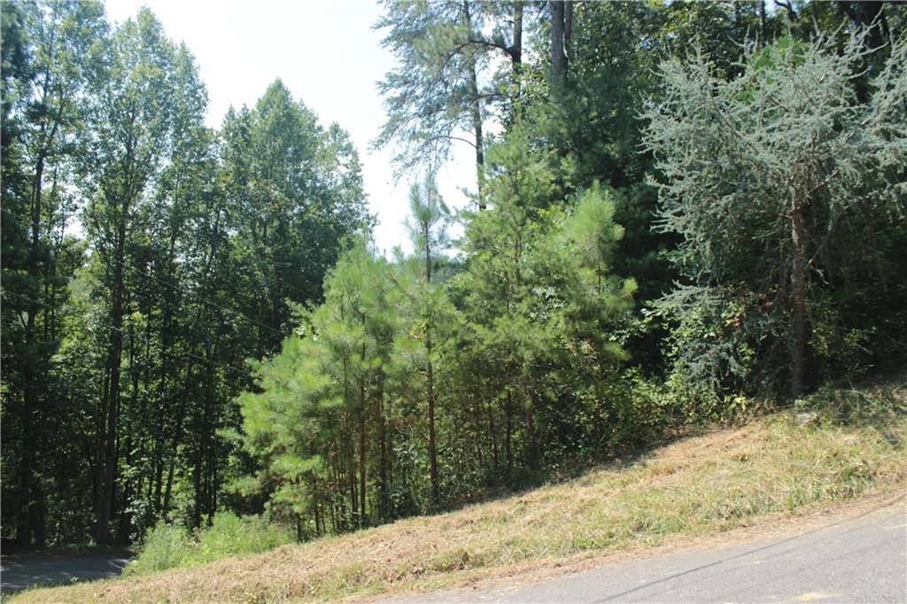 Ranger, GA 30734,808 Nettle LN