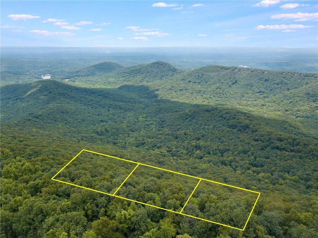 Big Canoe, GA 30143,476 Sanderlin Mountain DR S