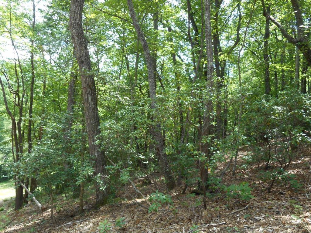 Clarkesville, GA 30523,3114 Oakley Mountain RD